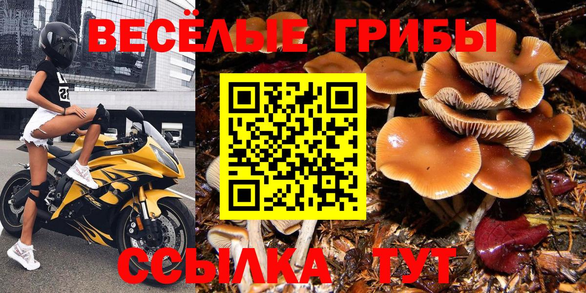 Кострома  Псилоцибиновые грибы Psilocybe  Вход с VPN  Галлюциногенные грибы MAGIC MUSHROOMS 